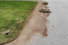 Driveway edging