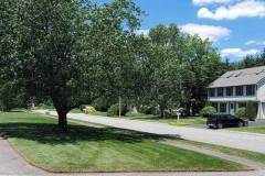 Driveway and walkway edging